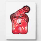 Het Santa Hat Collectie. Fotoplaat (Voorkant)