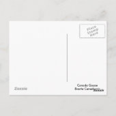 Het schattige gansje van de Gans van Canada Briefkaart (Achterkant)