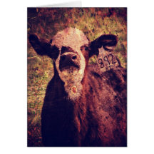 Het Schattige kalf alle Ocassions