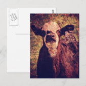 Het Schattige kalf Briefkaart (Voorkant / Achterkant)