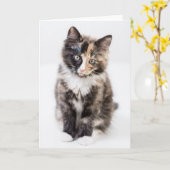 Het schattige Katje van het Calico Kaart (Gele Bloem)