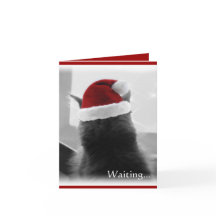 Het schattige Katje van Kerstmis