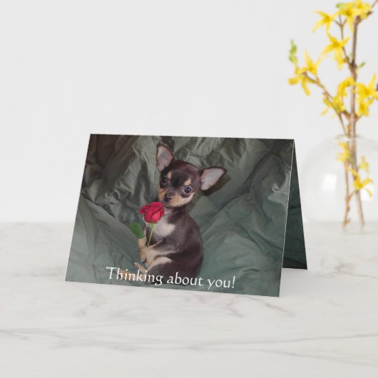 Het schattige Leuke Baby Vrolijke Chihuahua nam Kaart (Gele Bloem)