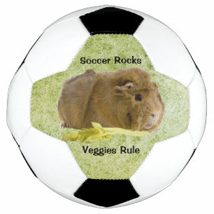 Het schattige Proefkonijn die van de Gember de Voetbal