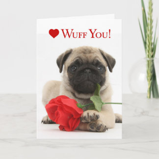 Het schattige Pug Puppy Valentijn met een Rood nam Feestdagen Kaart