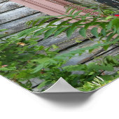 Het scherm in een venster poster (Hoek)