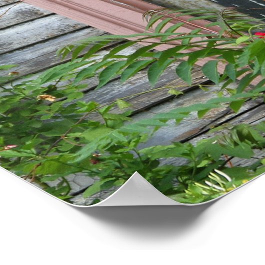 Het scherm in een venster poster (Hoek)