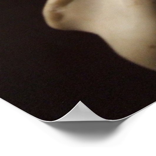 Het scherm poster (Hoek)