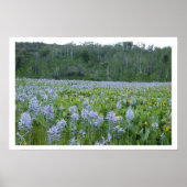 Het scherm schilderen poster (Voorkant)