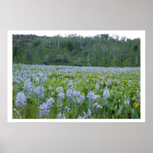 Het scherm schilderen poster