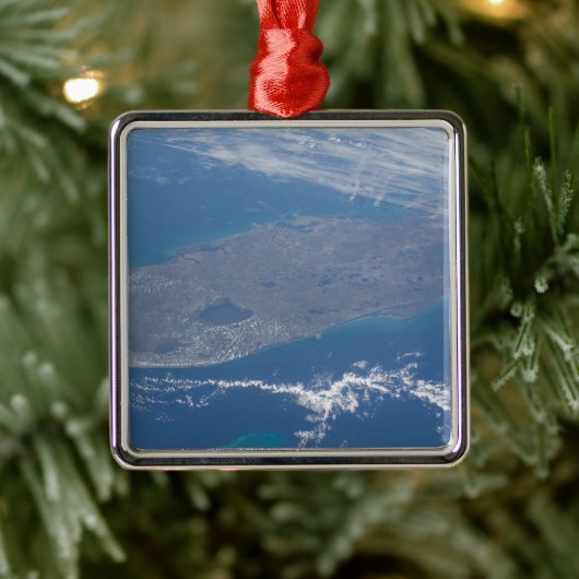 Het schiereiland Florida. Metalen Ornament (Boom)