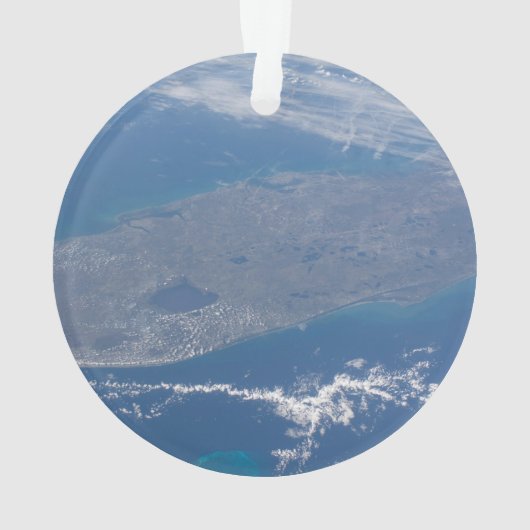 Het schiereiland Florida. Ornament (achterkant)