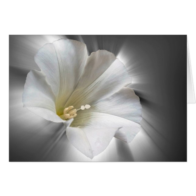 Het schijnen in het donker (Voorkant Horizontaal)