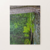 Het Schilderachtig gebied Ross Creek Cedars Legpuzzel (Verticaal)