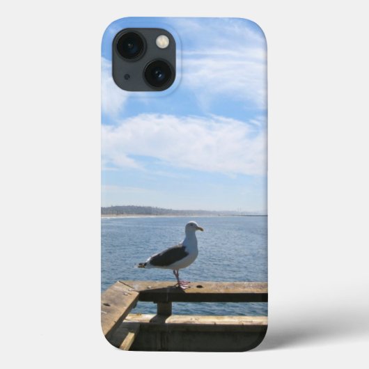 Het schilderachtig Hoesje van de Lucht van de (Achterkant)