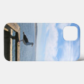 Het schilderachtig Hoesje van de Lucht van de (Achterkant (horizontaal))
