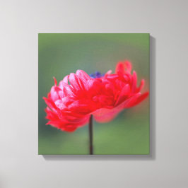 Het schildereffect van rode bloem sluit dicht canvas afdruk