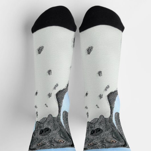 Het schilderen van de schilder van de Schilder van Sokken (Top)