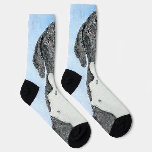 Het schilderen van de schilder van de Schilder van Sokken (Rechts)