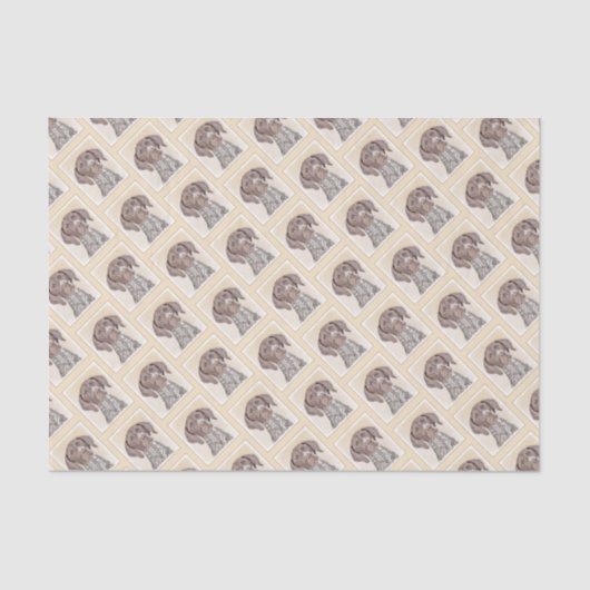 Het schilderen van de schilder van de Schilder van Tissuepapier (Voorkant)