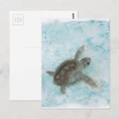 Het Schilderen van de Waterverf van de schildpad Briefkaart (Voorkant / Achterkant)
