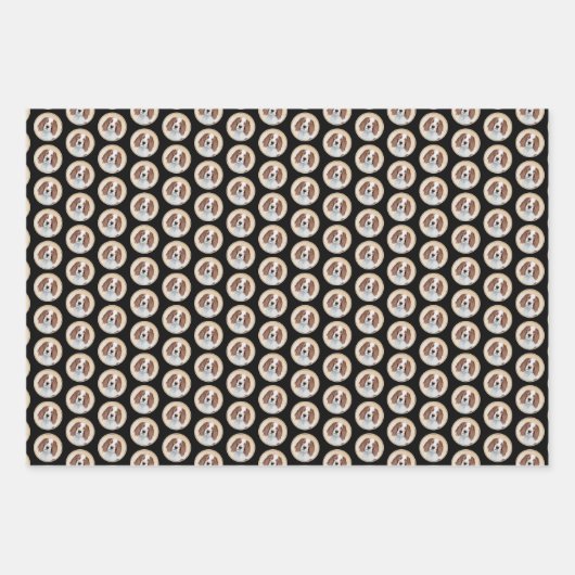 Het schilderen van Ierse rode en witte zetters - O Inpakpapier Vel (Voorkant 3)