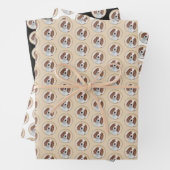 Het schilderen van Ierse rode en witte zetters - O Inpakpapier Vel (In situ)