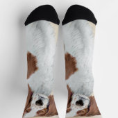 Het schilderen van Ierse rode en witte zetters - O Sokken (Top)