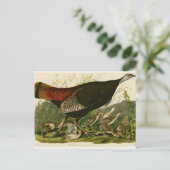 Het schilderen van vochtige vogels in Turkije Briefkaart (Staand voorkant)