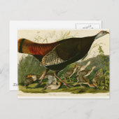 Het schilderen van vochtige vogels in Turkije Briefkaart (Voorkant / Achterkant)