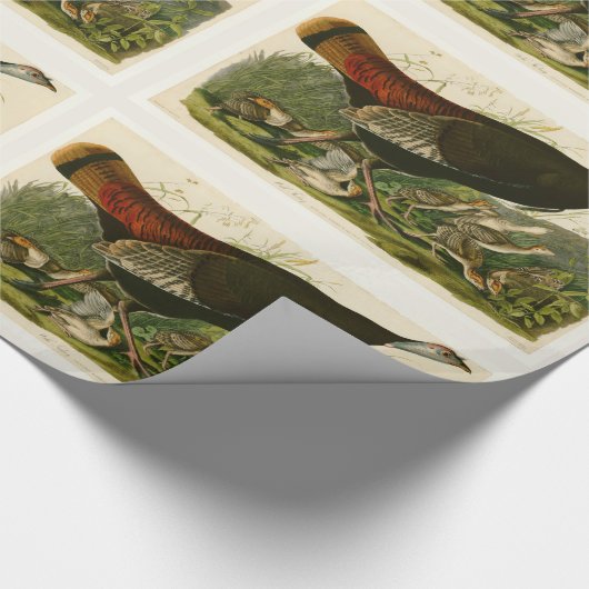 Het schilderen van vochtige vogels in Turkije Cadeaupapier (Hoek)