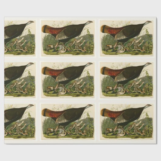 Het schilderen van vochtige vogels in Turkije Cadeaupapier (Vlak)