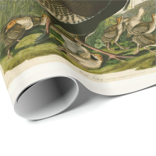 Het schilderen van vochtige vogels in Turkije Cadeaupapier (Rol Hoek)