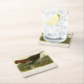 Het schilderen van vochtige vogels in Turkije Kartonnen Onderzetters (Insitu)