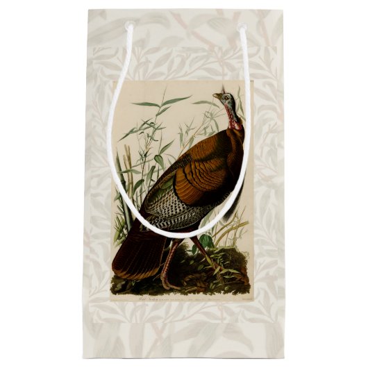 Het schilderen van vochtige vogels in Turkije Klein Cadeauzakje (Voorkant)