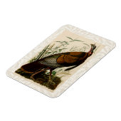 Het schilderen van vochtige vogels in Turkije Magneet (Linkerzijde)