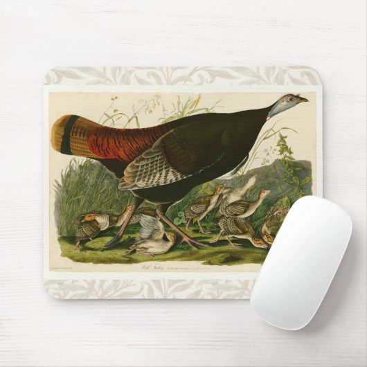 Het schilderen van vochtige vogels in Turkije Muismat (Met muis)