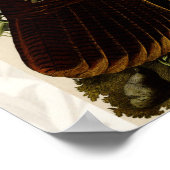 Het schilderen van vochtige vogels in Turkije Poster (Hoek)