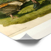 Het schilderen van vochtige vogels in Turkije Poster (Hoek)