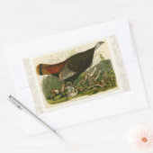 Het schilderen van vochtige vogels in Turkije Rechthoekige Sticker (Envelop)