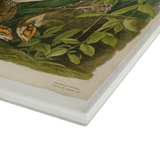 Het schilderen van vochtige vogels in Turkije Snijplank (Hoek)