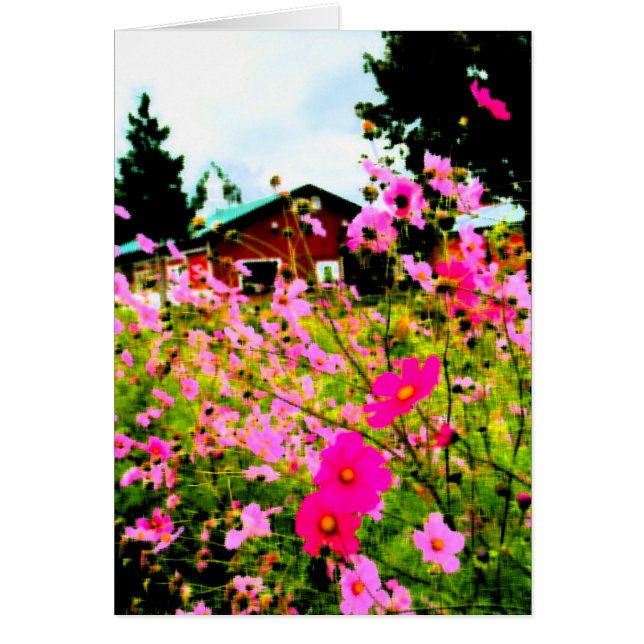 Het schilderij van het Boerderij van de Bloem (Voorkant)