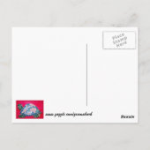 Het schildpad Briefkaart (Achterkant)