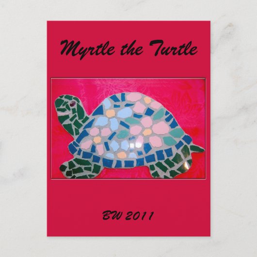 Het schildpad Briefkaart (Voorkant)