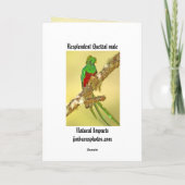 Het schitterende mannetje van Quetzal Kaart (Achterkant)