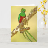 Het schitterende mannetje van Quetzal Kaart (Gele Bloem)