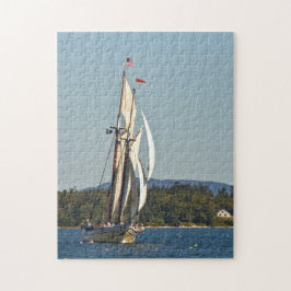 Het Schoonererfgoed Legpuzzel