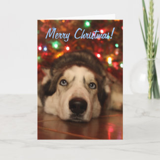 Het schor Wenskaart van Kerstmis Feestdagen Kaart