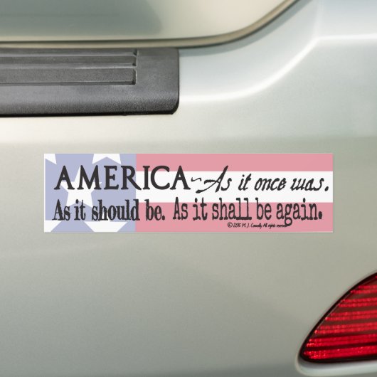 Het schreeuwen om de ellende. bumpersticker (Op auto)