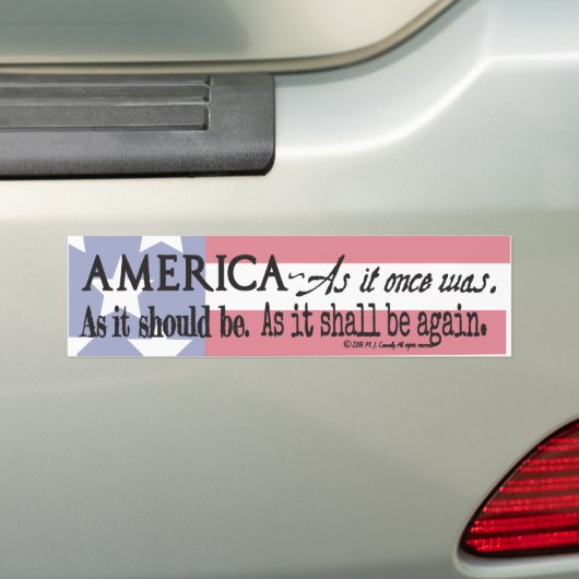 Het schreeuwen om de ellende. bumpersticker (Op auto)